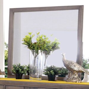 Berenice Mirror CM7580A-M By Furniture of America