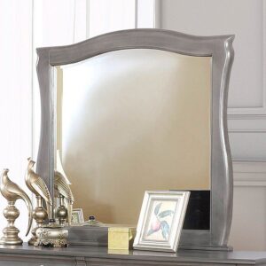 Brunswick Mirror CM7503GY-M By Furniture of America