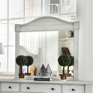 Daria Mirror CM7562M By Furniture of America