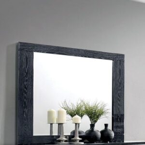 Carlie Mirror CM7049BK-M By Furniture of America