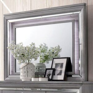 Alanis Mirror CM7579M By Furniture of America