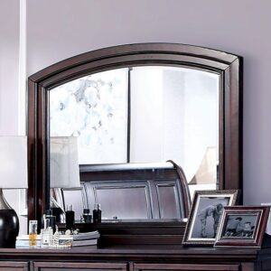Wells Mirror CM7548CH-M By Furniture of America