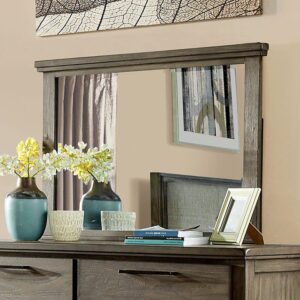 Berenice Mirror CM7528GY-M By Furniture of America