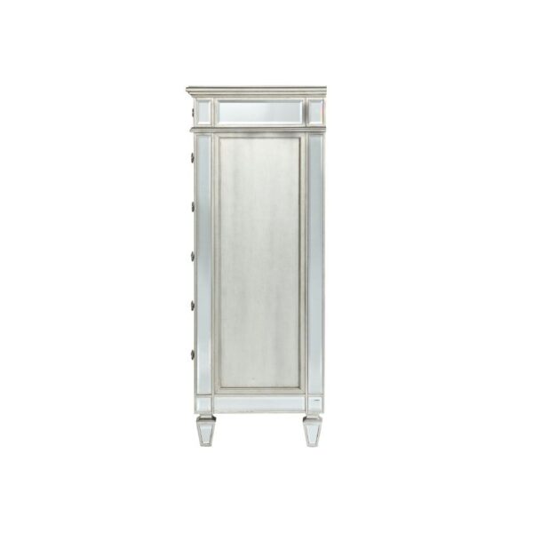 Varian Chest 26156 by ACME - Image 3