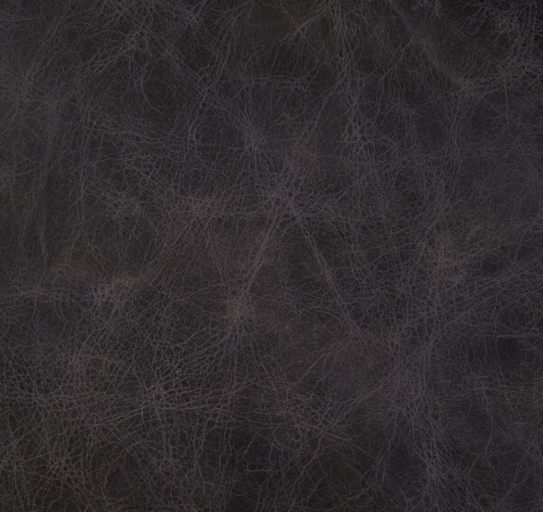 Dhalsim Accent Chair by ACME - Image 6