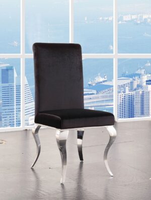 Fabiola Side Chair (2Pc) by ACME
