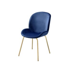 Chuchip Side Chair (2Pc) by ACME