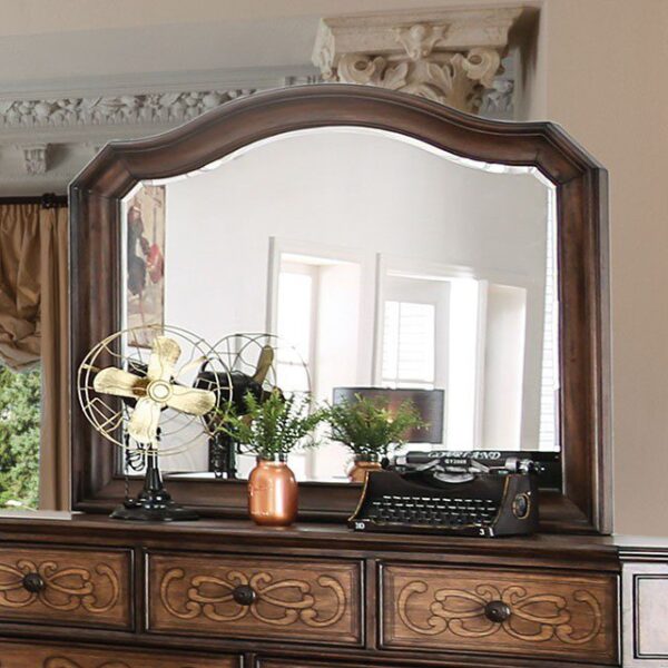 Emmaline Mirror CM7831M By Furniture of America - Image 2