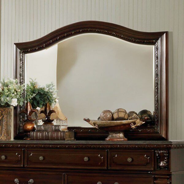 Fort Worth Mirror CM7858M By Furniture of America - Image 3