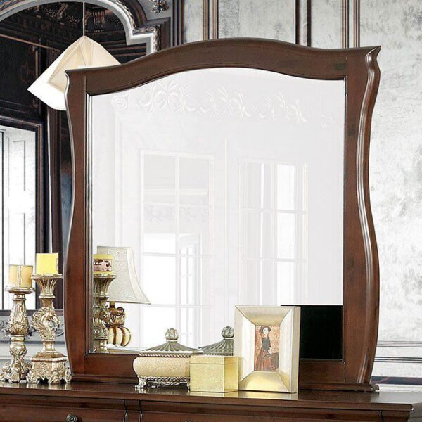 Brunswick Mirror CM7503M By Furniture of America - Image 2
