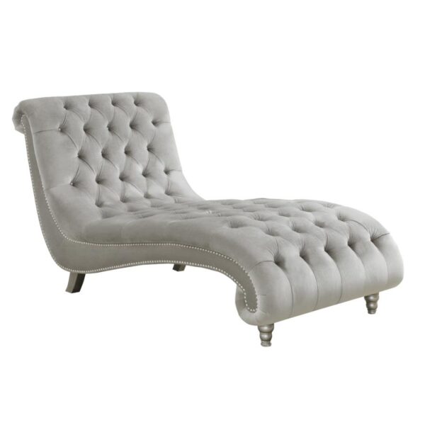 Tufted Cushion Chaise with Nailhead Trim Gray 905468 by Coaster Furniture - Image 3
