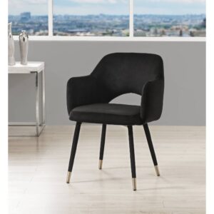 Black Velvet & Gold Applewood Accent Chair by ACME