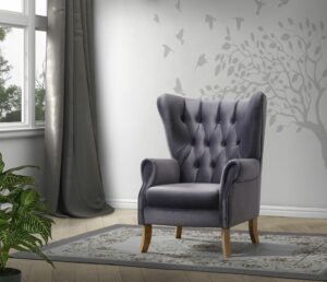 Adonis Accent Gray Velvet Chair by ACME
