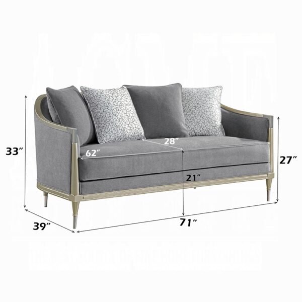 Fernando Loveseat with 4 Pillows in Champagne Finish LV04821 By ACME - Image 3
