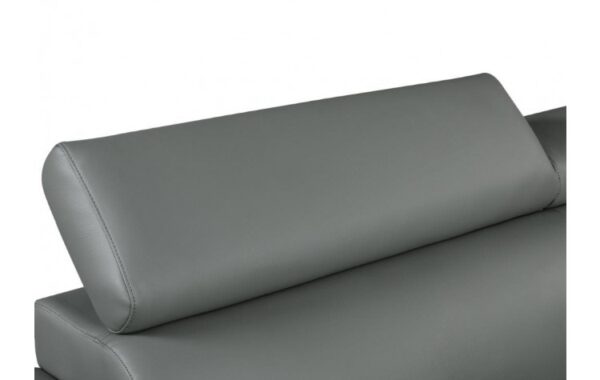 4571 Loveseat DivanItalia Top Grain Italian Leather by Gu Furniture - Image 11