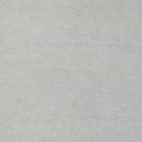 Severo Contemporary Light Gray Sofa FM61005LG-SF by Furniture of America - Image 4