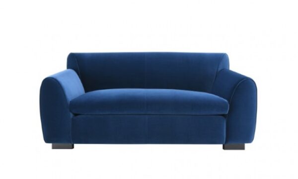 Severo Loveseat in Royal Blue Velvet – FM61005BL-LV by Furniture of America - Image 2