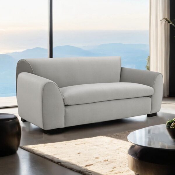 Severo Loveseat in Light Gray Velvet – FM61005LG-LV by Furniture of America - Image 6