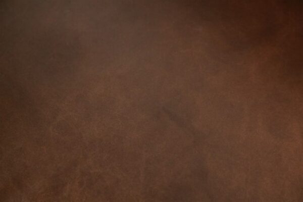 Marsicano Loveseat in Cognac Italian Leather – FM90005-LV by Furniture of America - Image 3