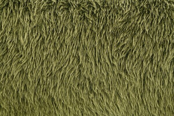 Darwen Loveseat in Green Faux Fur – FM64006GR-LV by Furniture of America - Image 4