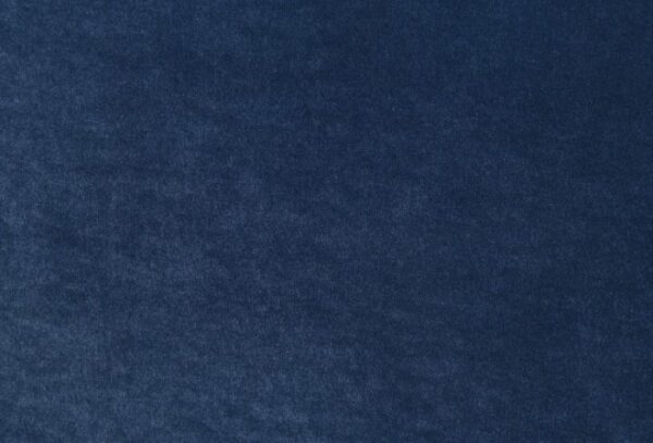 Severo Contemporary Royal Blue Velvet Chair – FM61005BL-CH by Furniture of America - Image 3