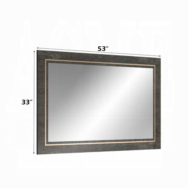 Venezia Accent Mirror in Gray Finish AC04718 By ACME - Image 2