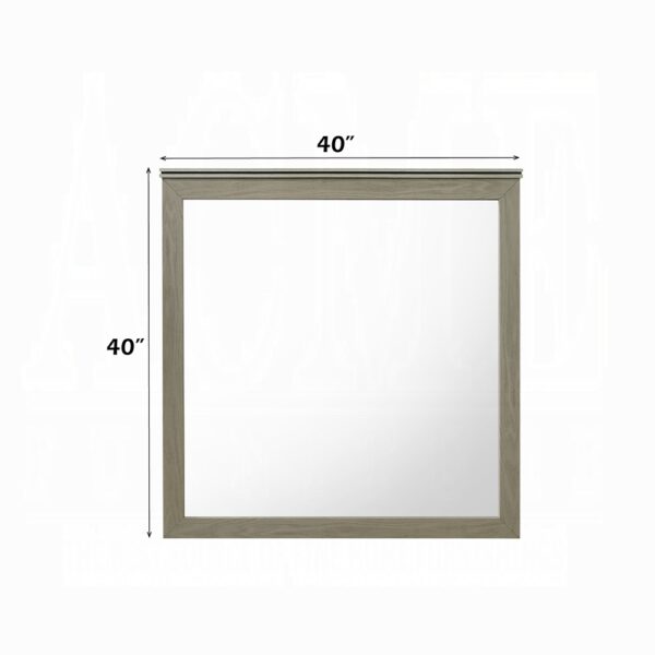 Joanna Weathered Gray Mirror BD05144 By ACME - Image 3