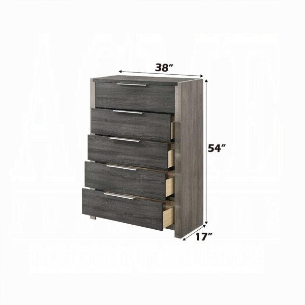 Jehoram Chest in Gray Finish BD02726 By ACME - Image 2