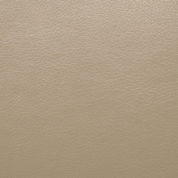 Schlieren Power Loveseat FM6012BG-LV-PM Compact Comfort by Furniture of America - Image 4