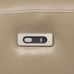 Schlieren Power Loveseat FM6012BG-LV-PM Compact Comfort by Furniture of America - Image 3