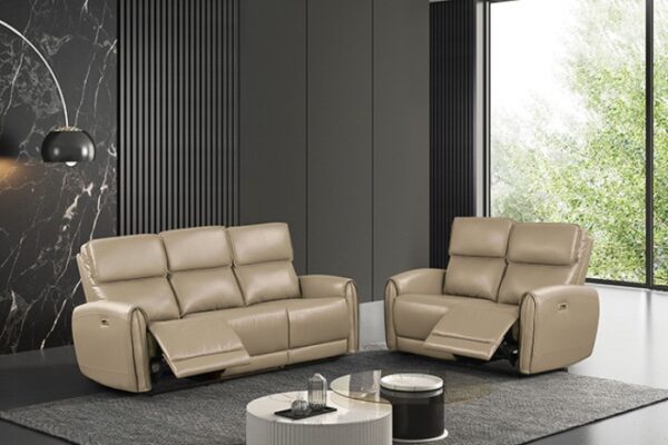 Schlieren Power Loveseat FM6012BG-LV-PM Compact Comfort by Furniture of America - Image 2