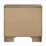 Lakkari Oak Nightstand BD04873 By ACME - Image 2