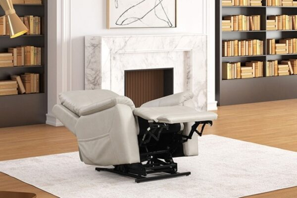 Ethelreda Lift Chair FM68002LG-LC Modern Comfort by Furniture of America - Image 4