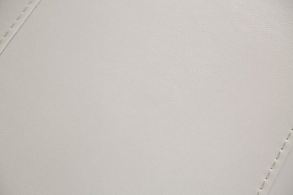 Ascona Power Recliner CM9927FG-CH-PM Contemporary Style by Furniture of America - Image 3