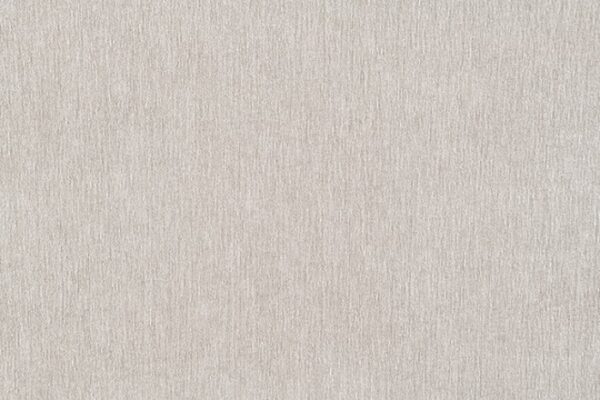 Watton Chair – Mid-Century Modern FM64008TP-CH by Furniture of America - Image 3