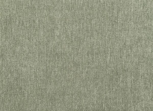 Watton Chair  FM64008GR-CH Mid-Century Modern Olive Green by Furniture of America - Image 3