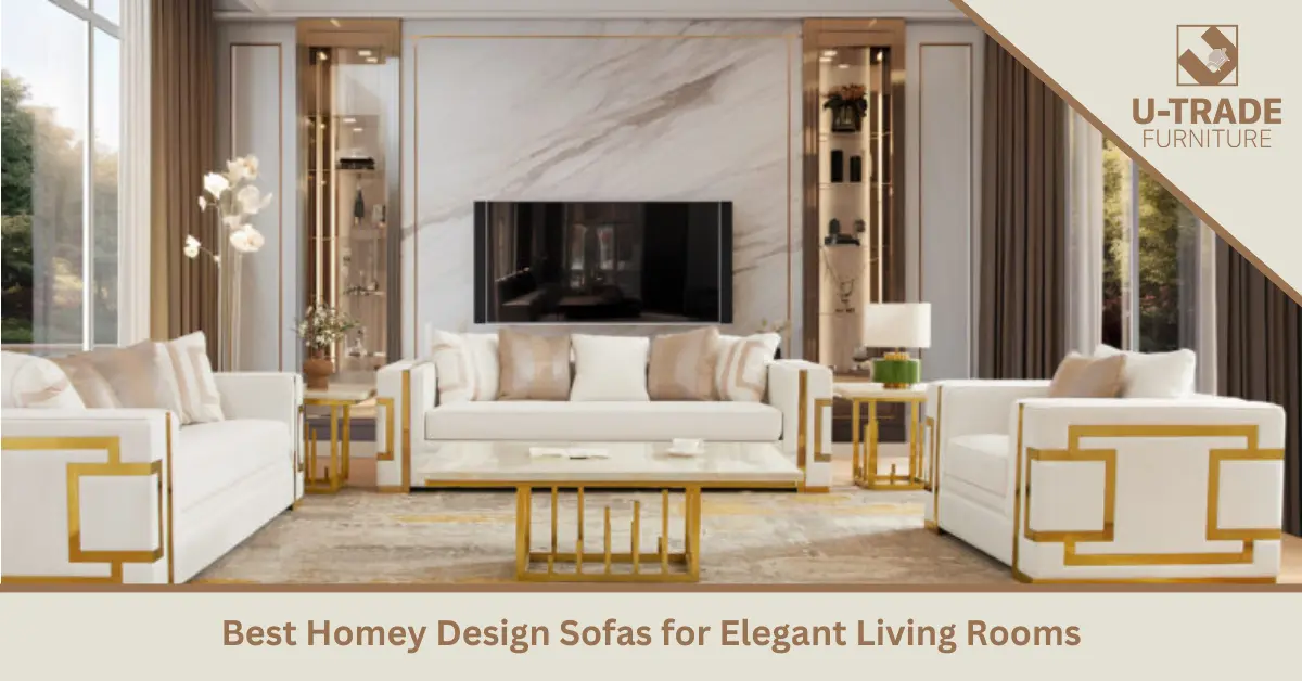 Best Homey Design Sofas for Elegant Living Rooms