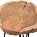 Joss Natural Modern End Table By Diamond Sofa - Image 4