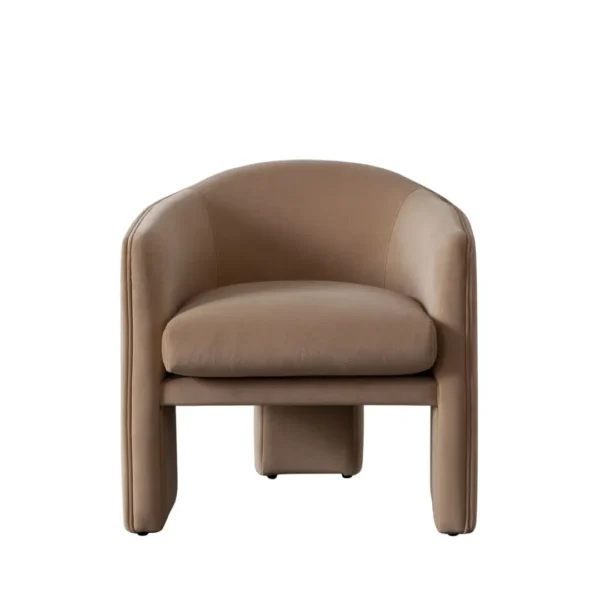 Leyah Velvet Accent Chair By Diamond Sofa - Image 4