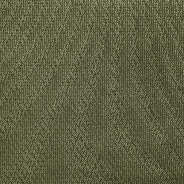 Elysia Chenille Green Living Room Chair By Coaster Furniture - Image 6