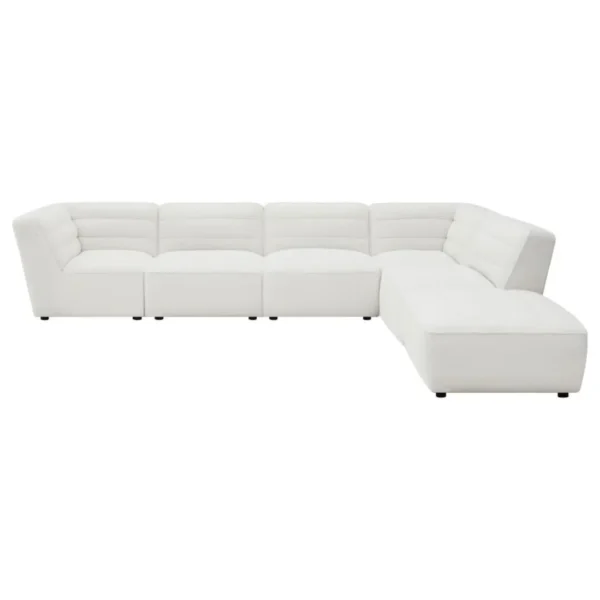 Sunny 6-Piece Elegant Sectional Sofa By Coaster Furniture - Image 5