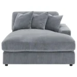 Blaine Sectional Sofa with Chaise Lounge By Coaster Furniture - Image 15
