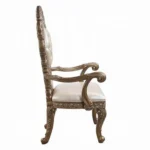 Constantine Leather Dining Arm Chair Set of 2 by ACME - Image 3