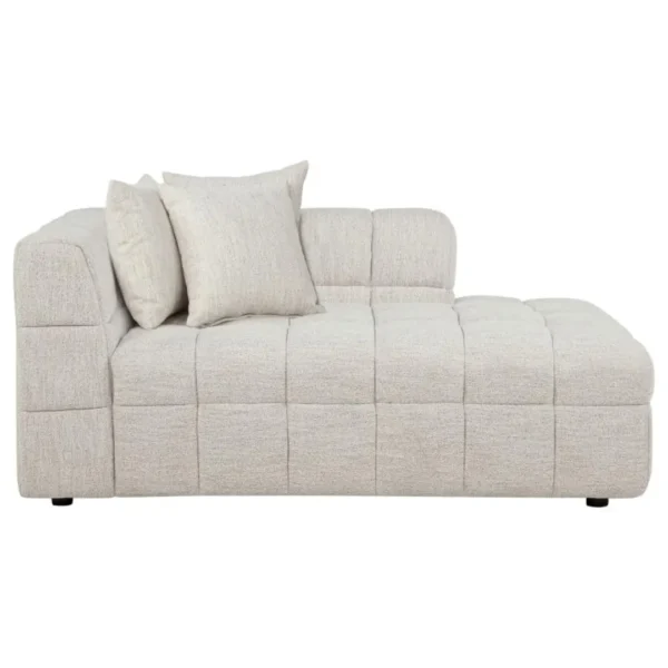 Amara Ivory Tufted Chaise By Coaster Furniture - Image 2