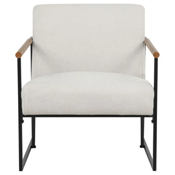 Monsen Fabric Metal Frame Accent Chair By Coaster Furniture - Image 2