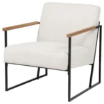 Monsen Fabric Metal Frame Accent Chair By Coaster Furniture - Image 3