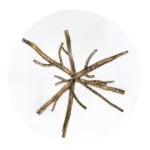 Sarna Glass Top Side Table by Furniture of America - Image 3