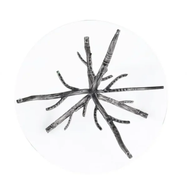 Sarna Glass Top Side Table by Furniture of America - Image 5
