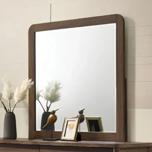 Hayward Mid Century Modern Mirror by Furniture Of America