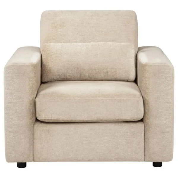 Amador Chenille Living Chair By Coaster Furniture - Image 2